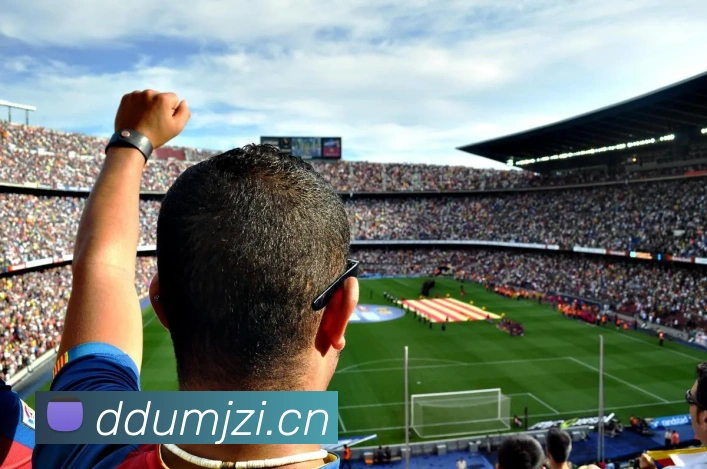 多媒体互动体验